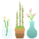 Various Potted plants.